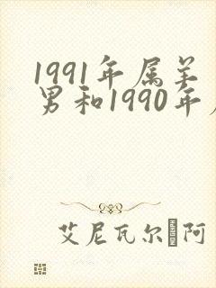 1991年属羊男和1990年属马女配吗