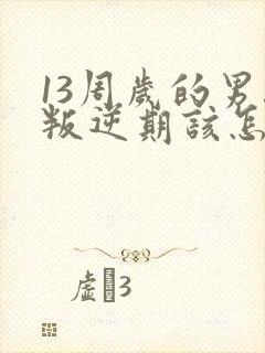 13周岁的男孩叛逆期该怎么办