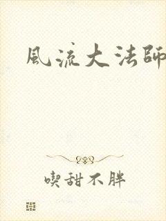 风流大法师