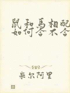 鼠和马相配婚姻如何合不合