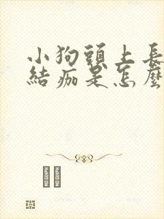 小狗头上长疙瘩结痂是怎么回事