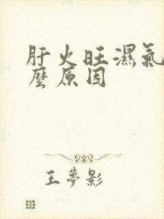 肝火旺湿气重什么原因封面