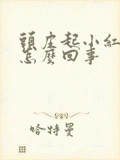 头皮起小红疙瘩怎么回事封面