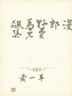 飙马野郎漫画全集免费