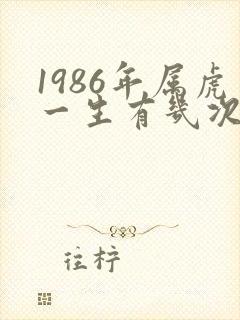 1986年属虎一生有几次婚姻