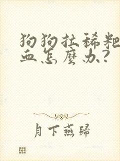 狗狗拉稀粑粑带血怎么办?