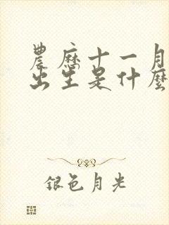 农历十一月十七出生是什么命