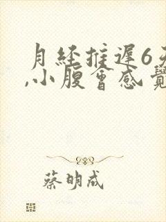 月经推迟6天了,小腹会感觉坠胀是因为什么封面