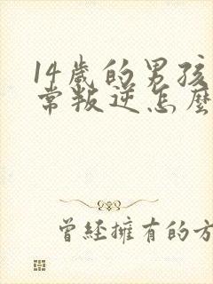 14岁的男孩非常叛逆怎么办封面