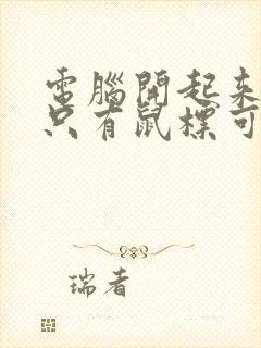 电脑开起来黑屏只有鼠标可以动