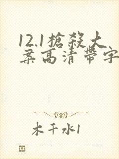 12.1枪杀大案高清带字幕电视剧