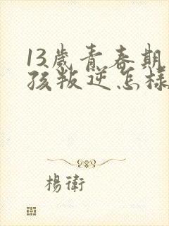 13岁青春期男孩叛逆怎样引导