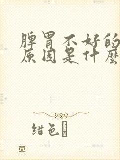 脾胃不好的根本原因是什么