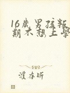 16岁男孩叛逆期不想上学怎么办