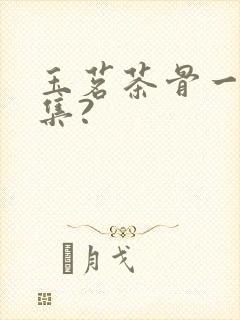 玉茗茶骨一共几集?