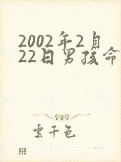 2002年2月22日男孩命运