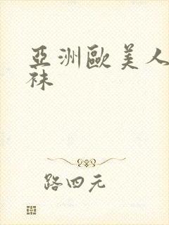 亚洲欧美人妻丝袜