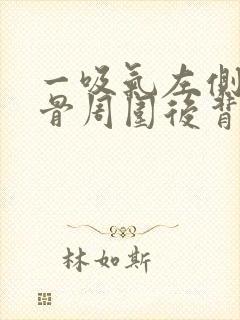 一吸气左侧肩胛骨周围后背里面疼