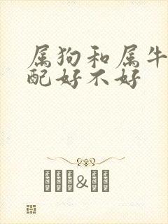 属狗和属牛的婚配好不好封面