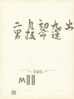 二月初九出生的男孩命运