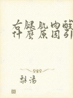 右腿肌肉酸疼是什么原因引起的