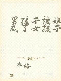 男孩子被姐姐变成了女孩子封面