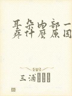 耳朵内部一碰就疼什么原因