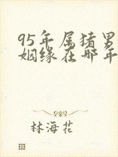 95年属猪男的姻缘在哪年出现