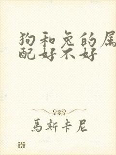 狗和兔的属相婚配好不好