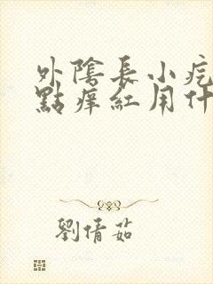 外阴长小疙瘩有点痒红用什么药