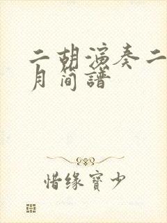 二胡演奏二泉映月简谱