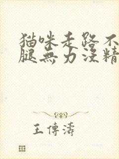 猫咪走路不稳后腿无力没精神封面