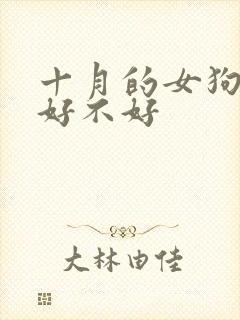 十月的女狗命运好不好