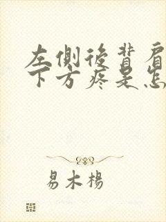 左侧后背肩胛骨下方疼是怎么回事