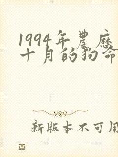 1994年农历十月的狗命运如何
