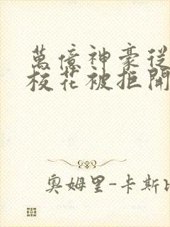 万亿神豪从表白校花被拒开始