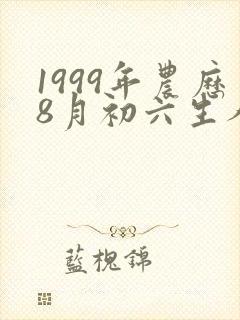 1999年农历8月初六生人命运
