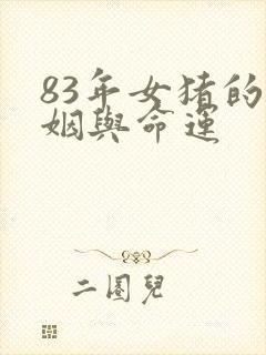 83年女猪的婚姻与命运封面