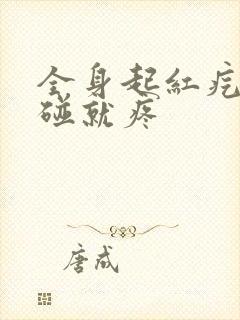 全身起红疙瘩一碰就疼封面