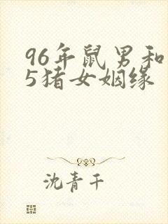 96年鼠男和95猪女姻缘封面