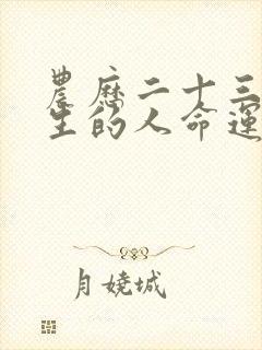 农历二十三日出生的人命运