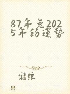 87年兔2025年的运势封面