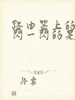 路由器上的灯一闪一闪的是怎么回事