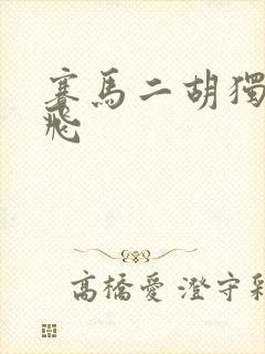 赛马二胡独奏宋飞