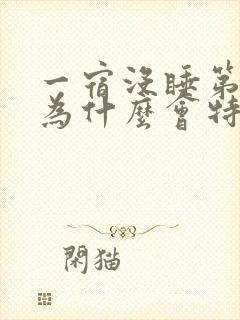 一宿没睡第二天为什么会特别精神