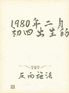 1980年二月初四出生的人命运
