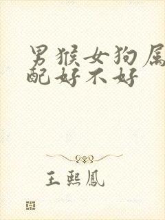 男猴女狗属相婚配好不好