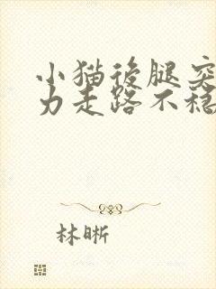 小猫后腿突然无力走路不稳