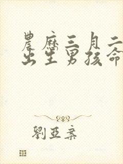 农历三月二十一出生男孩命运好吗?