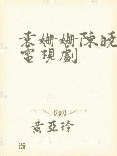 袁姗姗陈晓演的电视剧封面